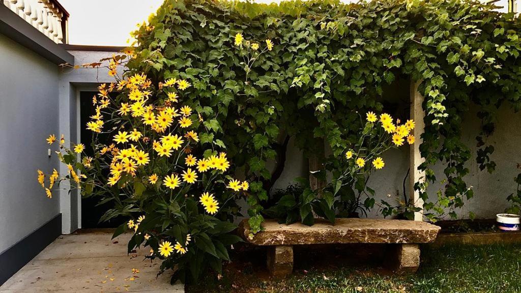 Villa Casa Às Sete Angra do Heroísmo Esterno foto