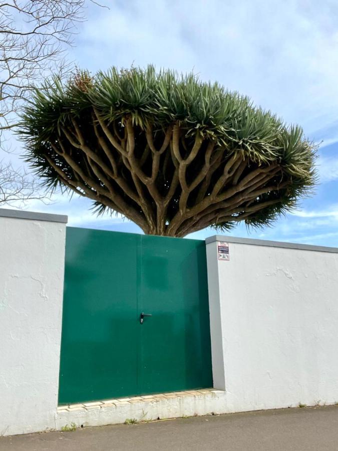 Villa Casa Às Sete Angra do Heroísmo Esterno foto